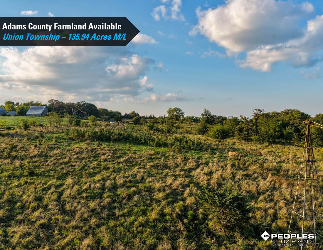 Listing Photo: Adams-County-Iowa-Farmland-Available-136-Acres-Blazek-Estate-19707 (11)